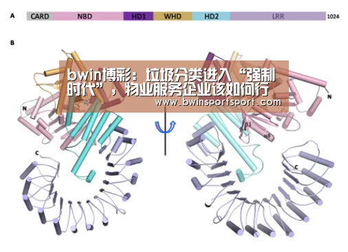 bwin博彩:垃圾分类进入“强制时代”,物业服务企业该如何行动?(图2) bwin博彩