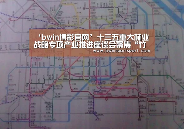 ‘bwin博彩官网’十三五重大林业战略专项产业推进座谈会聚焦“竹缠绕”(图3) 必赢体育官网